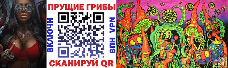 Галлюциногенные грибы Cubensis Исилькуль